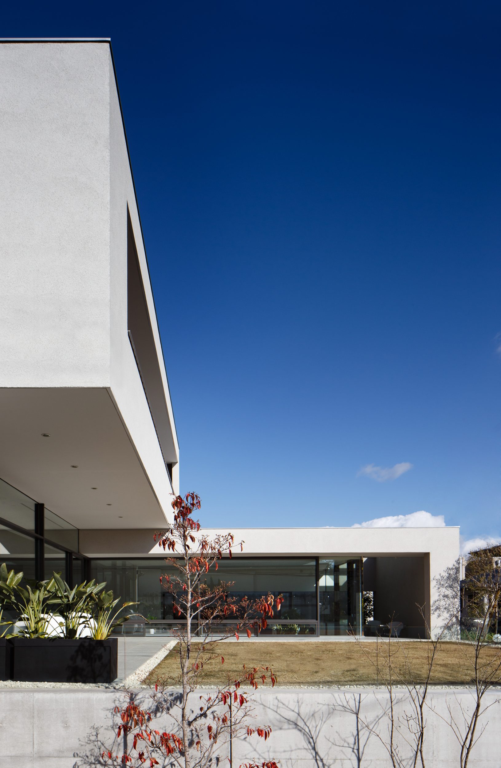 山﨑 壮一 東京の高級注文住宅ならベルクハウス 山﨑 壮一 東京の高級注文住宅ならベルクハウス